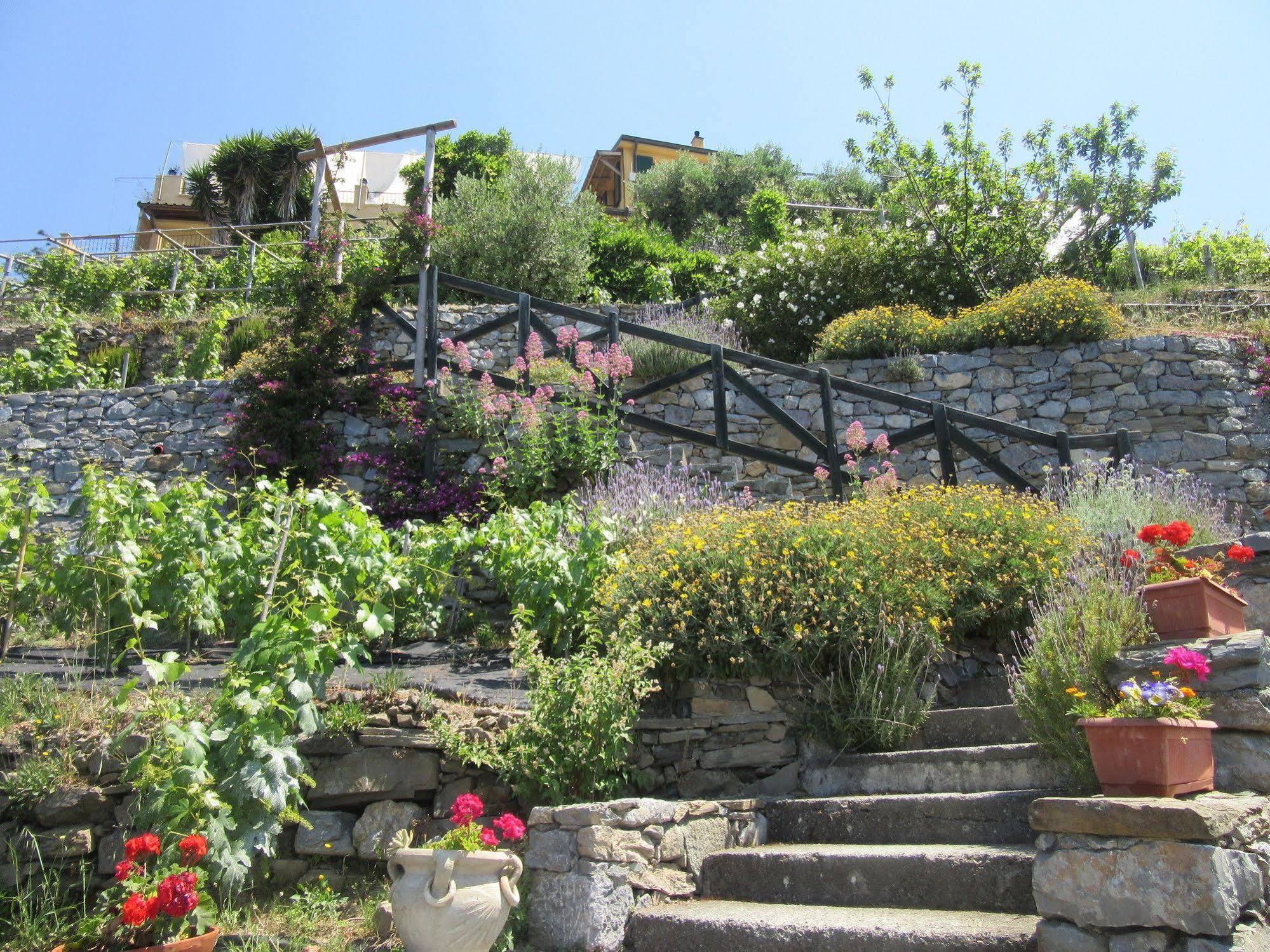 Il Borgo Di Campi 2*
