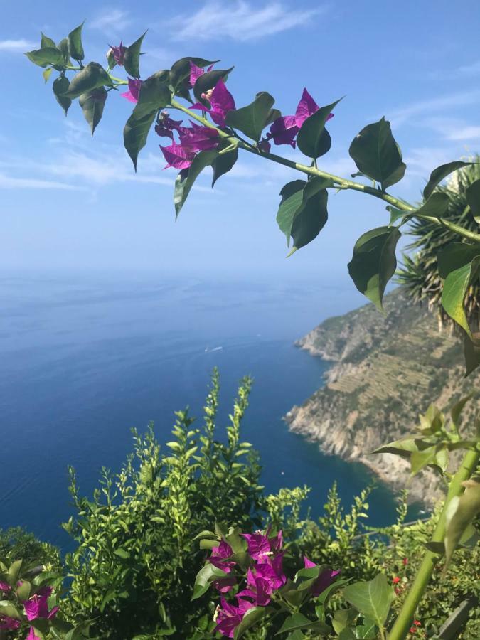 Aparthotel Il Borgo Di Campi
